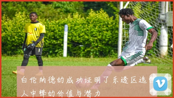 白伦纳德的成功证明了乐透区选白人中锋的价值与潜力