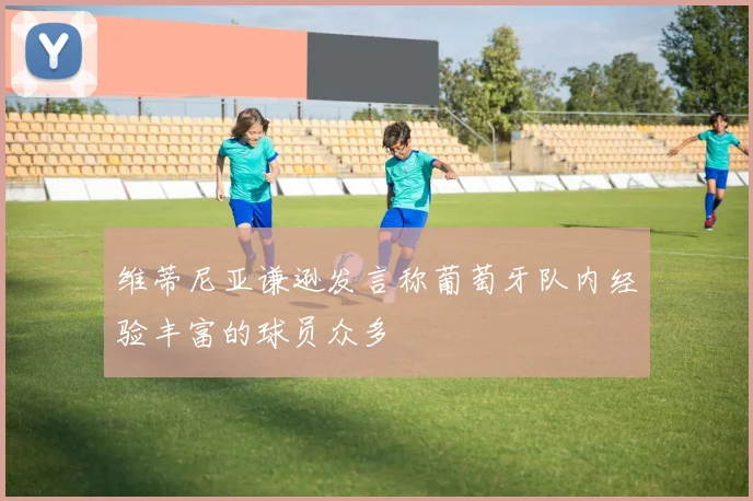 维蒂尼亚谦逊发言称葡萄牙队内经验丰富的球员众多